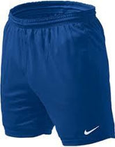 Nike Park Unlined Knit Short