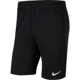 Dri-Fit Park 20 Knit Short (Youth)