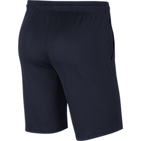 Dri-Fit Park 20 Knit Short (Youth)