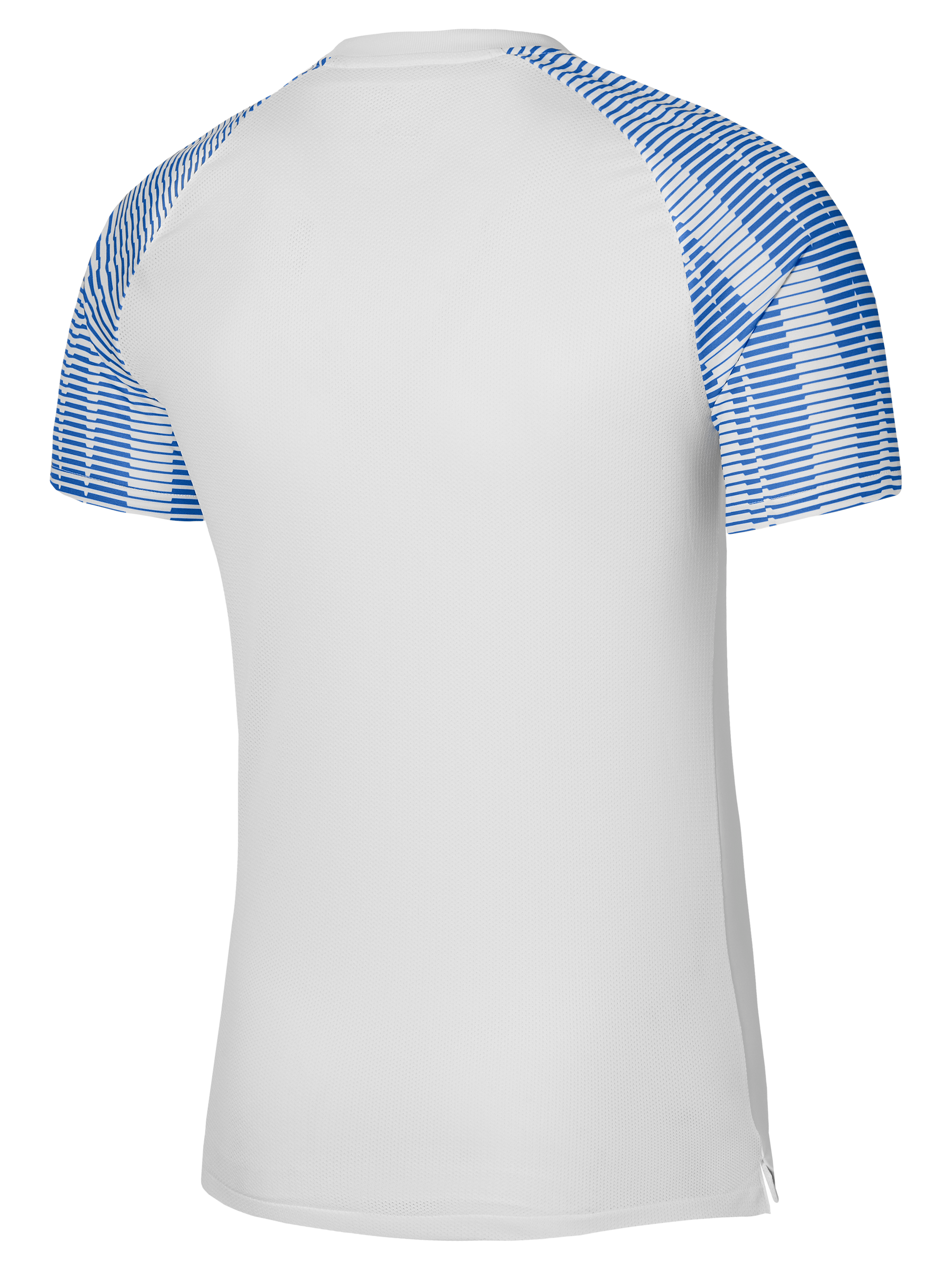 Academy Jersey Short Sleeve (Youth)