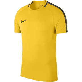 Nike Academy 18 Training Top