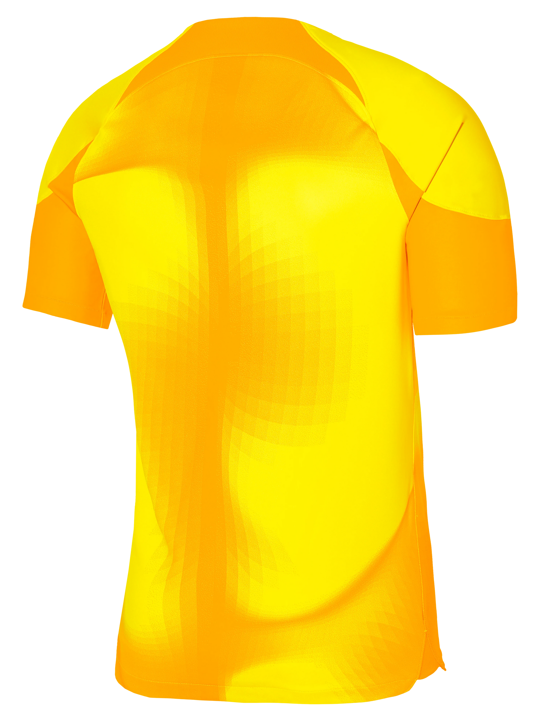 Goalkeeper jersey Nike Goalkeeper III for Men - BV6711